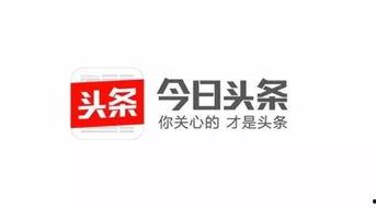 今日头条图标上有红点,速来关注！