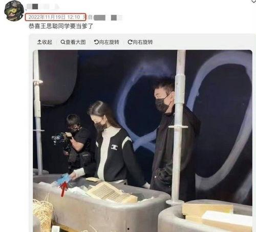 王思聪娱乐爆料视频