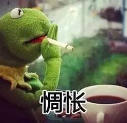 吃瓜看客,揭秘娱乐圈幕后真相