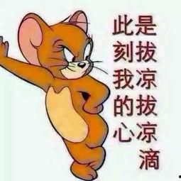 吃瓜群众照片可爱,吃瓜群众捕捉到的可爱瞬间