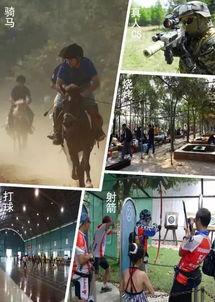 娱乐吃瓜大世界,揭秘幕后故事，带你走进娱乐吃瓜大世界